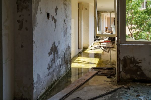 Cost of Water Removal Service in Winston Salem