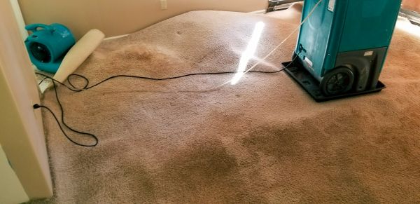 Cost of Carpet Water Extraction in Winston Salem