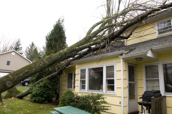 Storm Damage Mitigation in Winston Salem