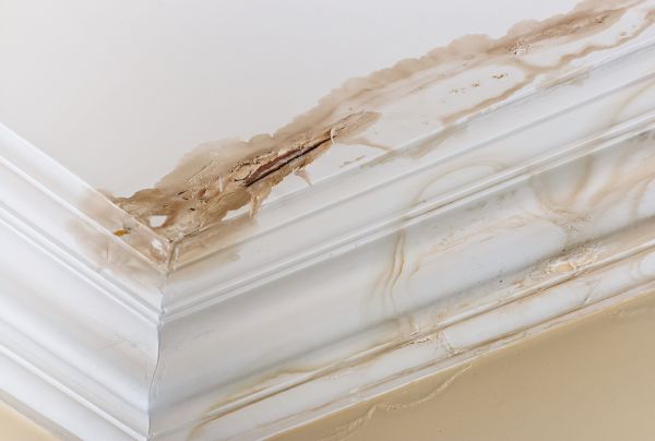 Water Damage Recovery in Winston Salem