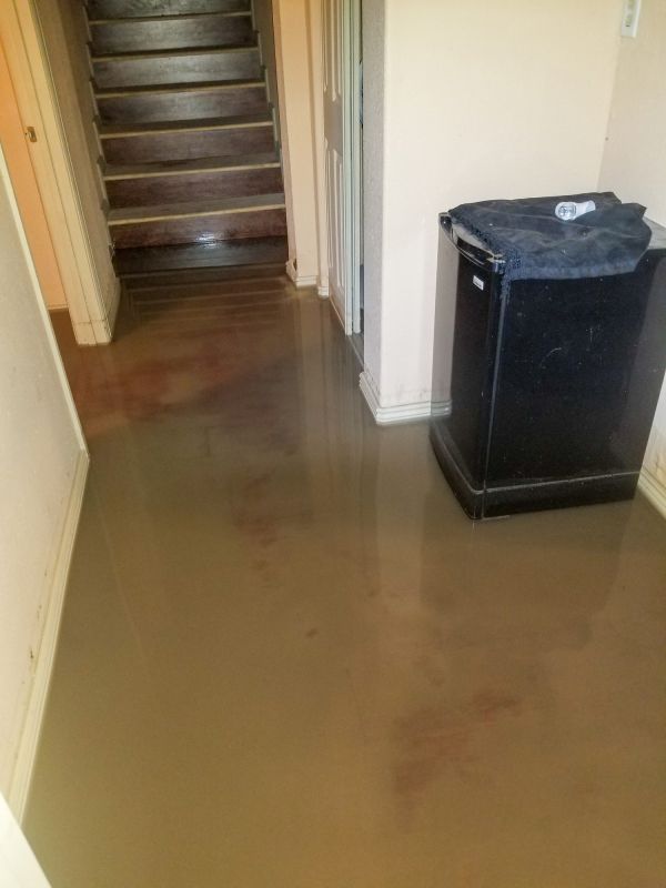 Flooded Properties